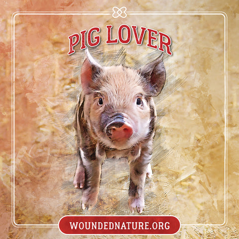 Wounded Nature Pig Sticker