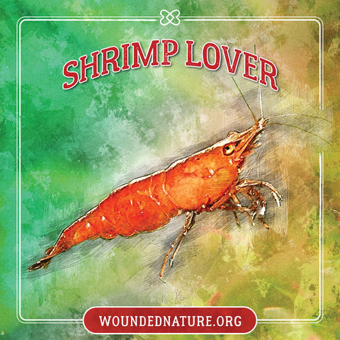 Wounded Nature Shrimp Sticker