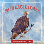 Wounded Nature Bald Eagle Sticker