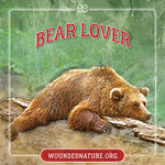 Wounded Nature Sleeping Bear Sticker