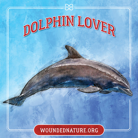 Wounded Nature Dolphin Sticker