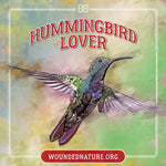 Wounded Nature Humming Bird Sticker