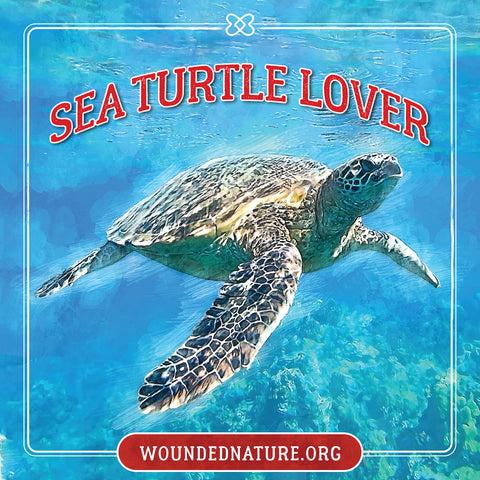 Wounded Nature Sea Turtle Sticker