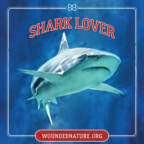 Wounded Nature Shark Sticker