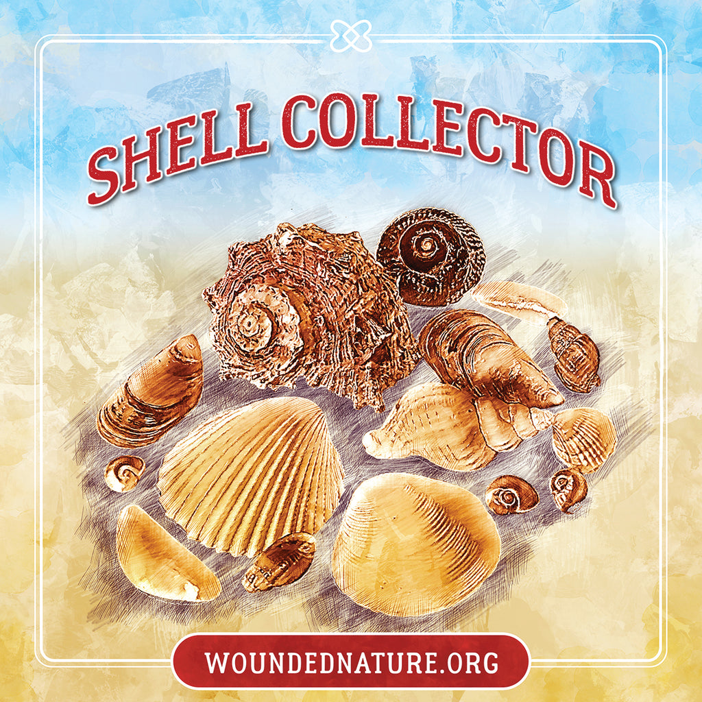 Wounded Nature Shell Collector Sticker – Southern Strut Brand