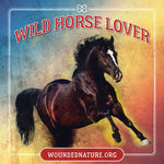 Wounded Nature Wild Horse Sticker